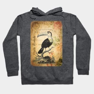 The Toucan - Vintage French Postcard Hoodie